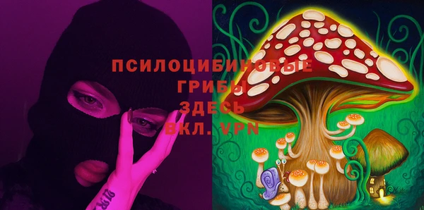 бошки Алексеевка