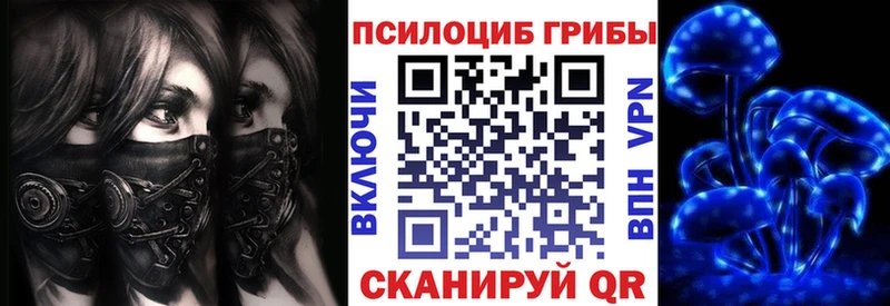 Псилоцибиновые грибы прущие грибы купить цена Каменск-Уральский